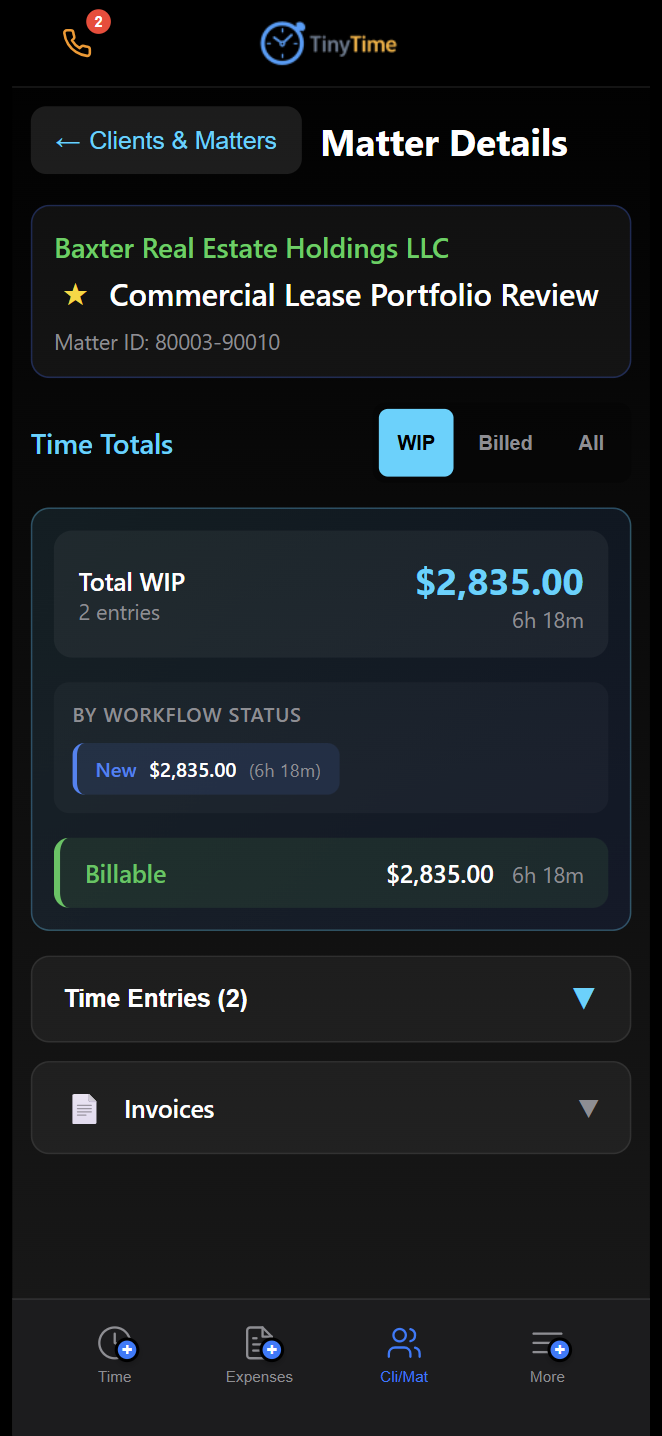 TinyTime matter detail with WIP totals